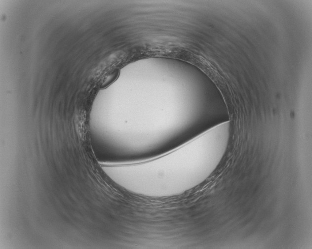 X0000082160867200701190953