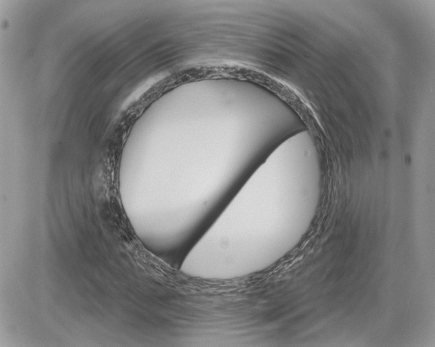 X0000082160871200701190953