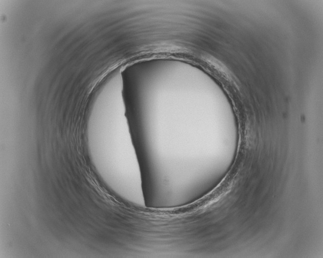 X0000082160873200701190953