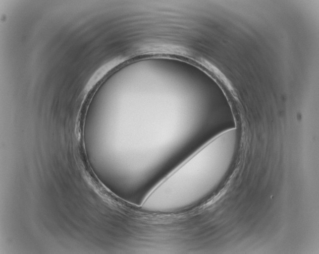 X0000082160885200701190953