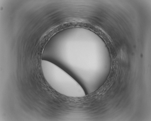 X0000082160919200701190951