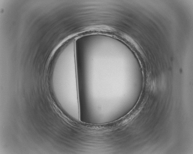 X0000082160923200701190952