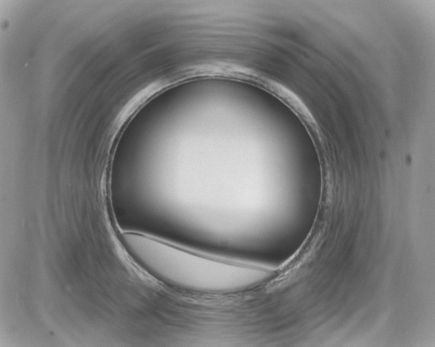 X0000082160946200701190952