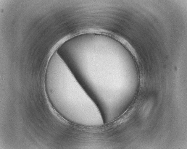 X0000082160954200701190952