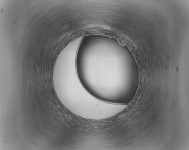X0000082160965200701190951