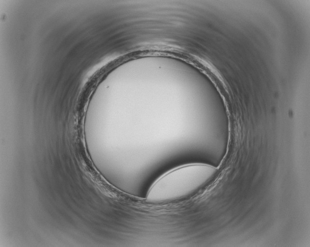 X0000082160971200701190951