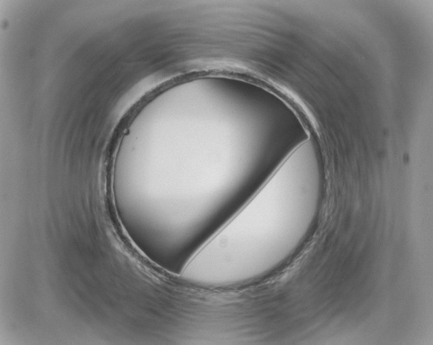 X0000082160983200701190951