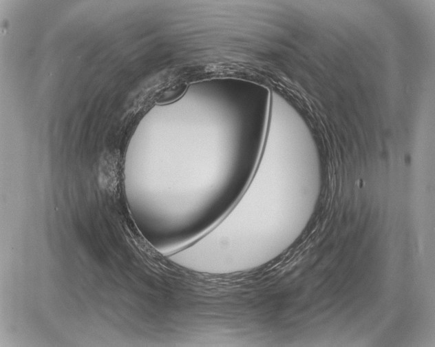 X0000082161012200701190950