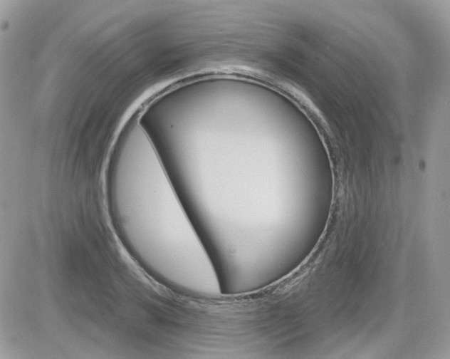 X0000082161032200701190950