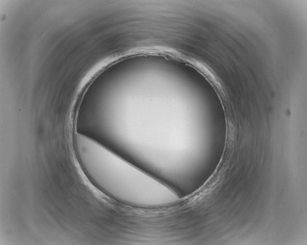 X0000082161046200701190950