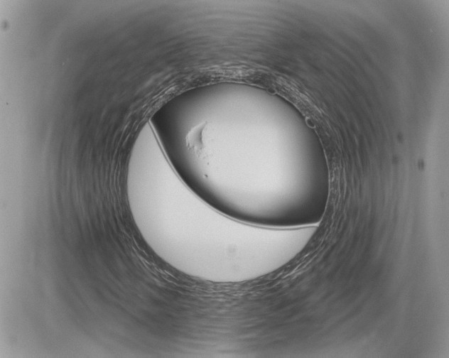 X0000082161058200701190950