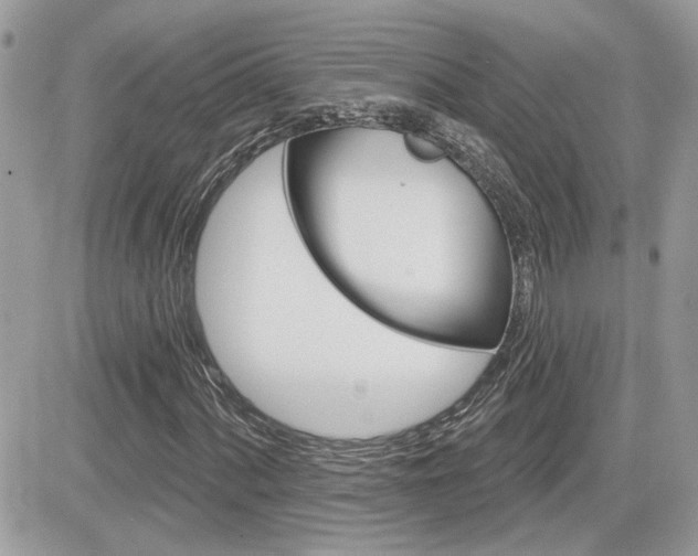 X0000082161060200701190950