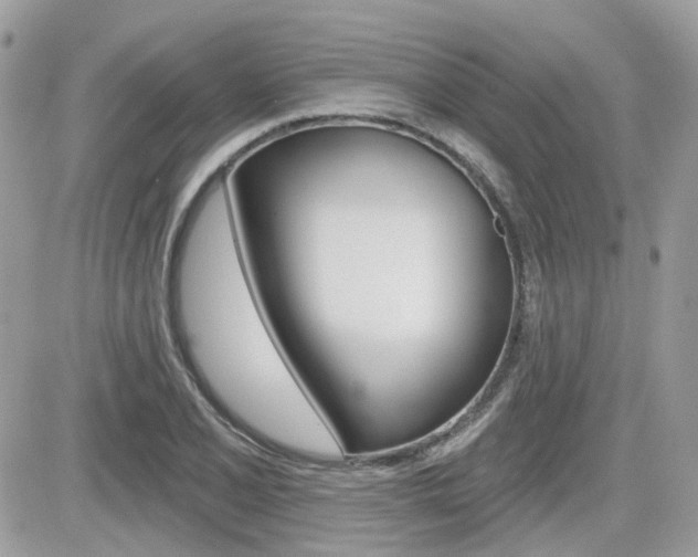 X0000082161077200701190949
