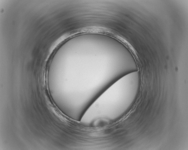 X0000082161083200701190949