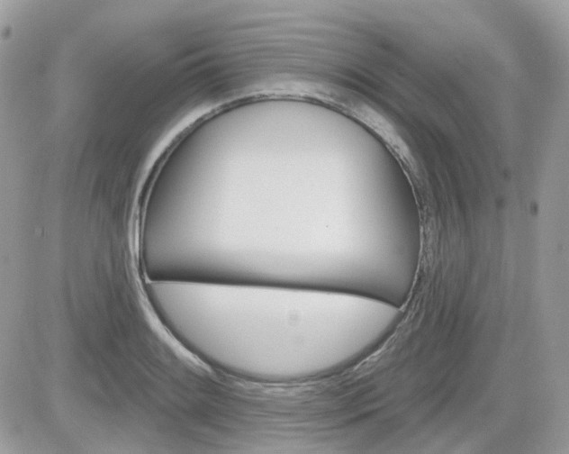 X0000082161084200701190949