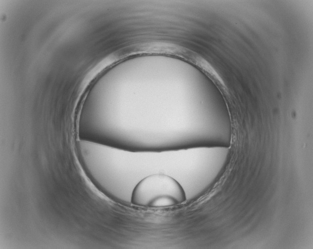 X0000082161087200701190949