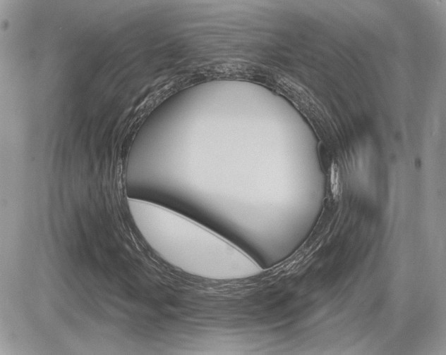 X0000082161107200701190948