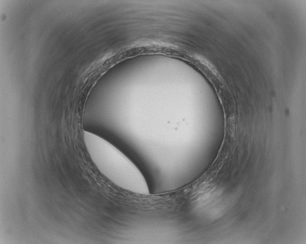 X0000082161111200701190948