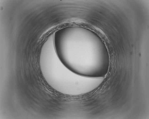 X0000082161112200701190948