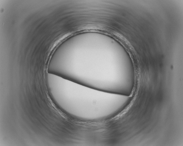 X0000082161121200701190949