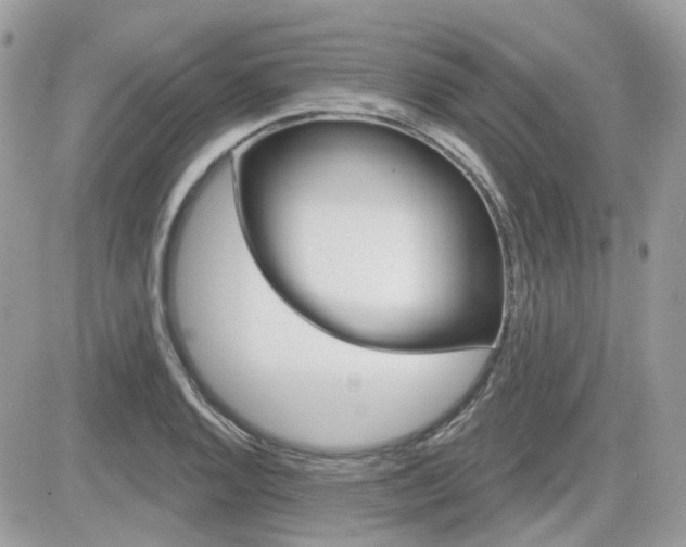 X0000082161128200701190949