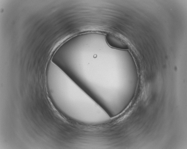 X0000082161129200701190949