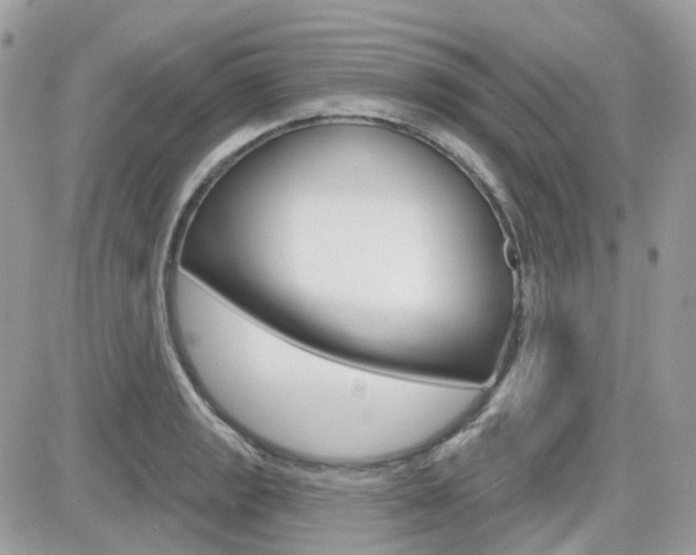 X0000082161133200701190949
