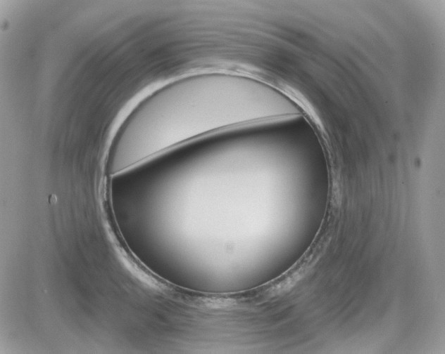 X0000082161136200701190949