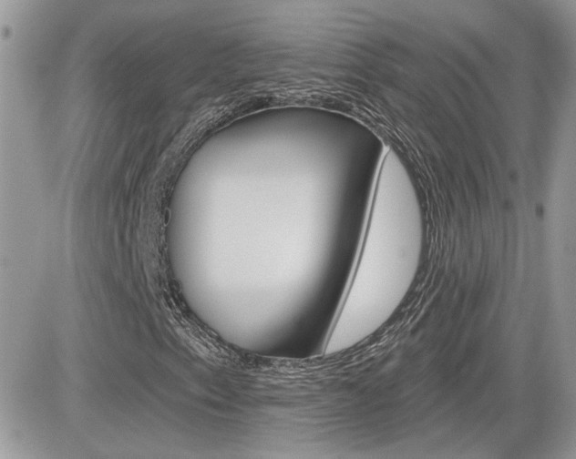 X0000082161153200701190948