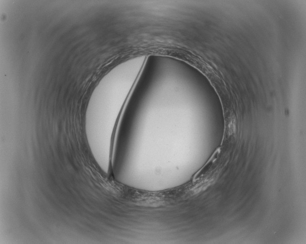 X0000082161156200701190948
