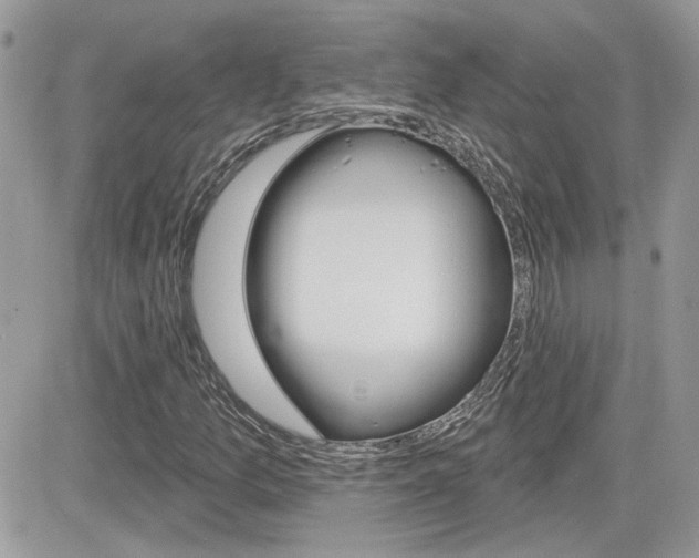 X0000082161157200701190948