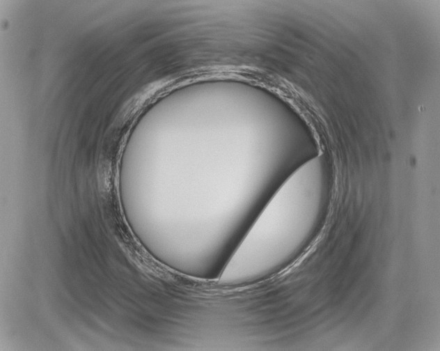 X0000082161161200701190948