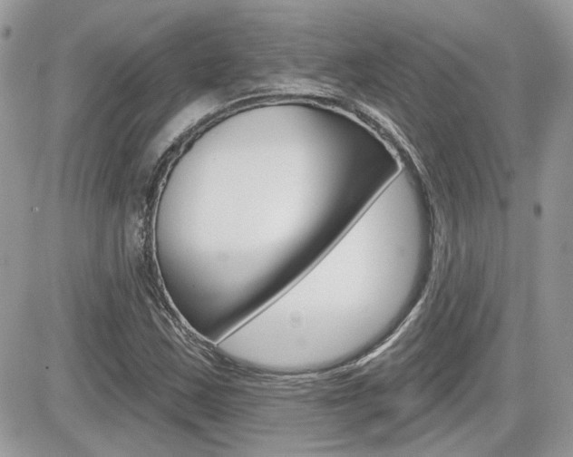 X0000082161163200701190948