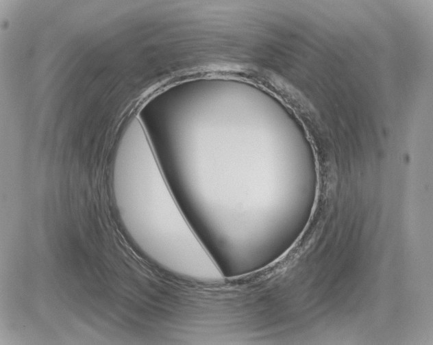 X0000082161169200701190948