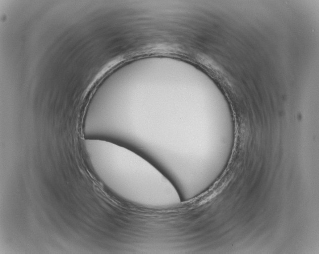 X0000082161170200701190948