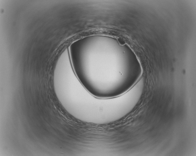 X0000082161206200701190947