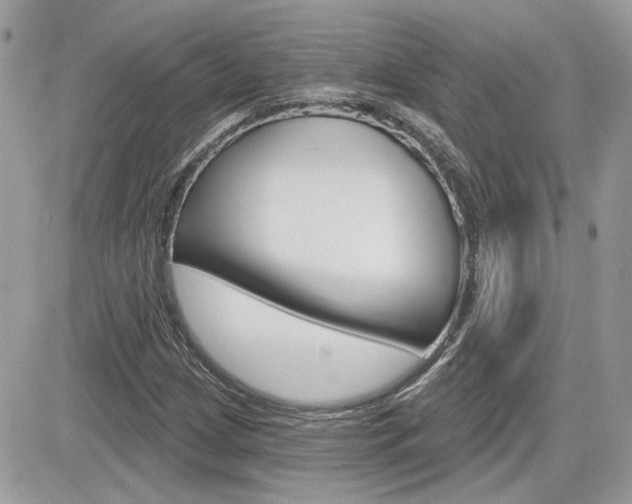 X0000082161209200701190947