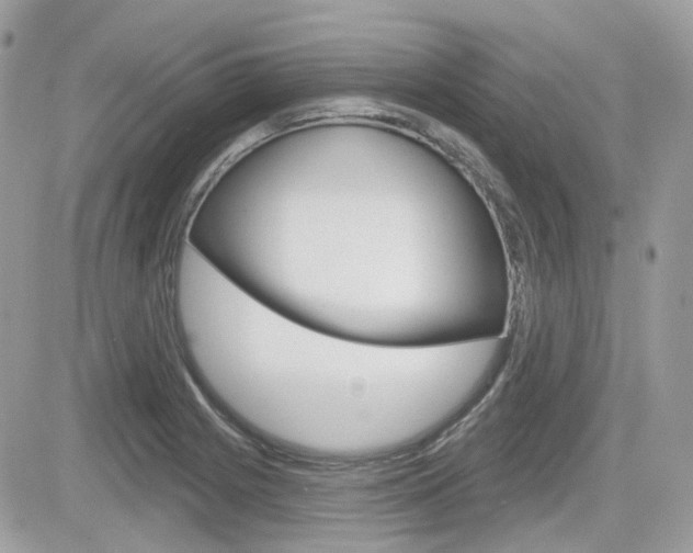 X0000082161225200701190947