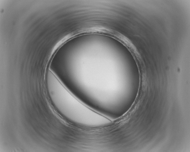 X0000082161234200701190947