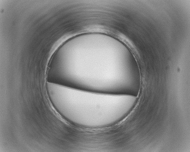 X0000082161236200701190947