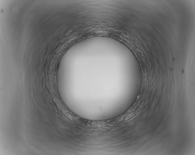 X0000082161249200701190947