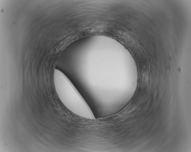 X0000082161250200701190947