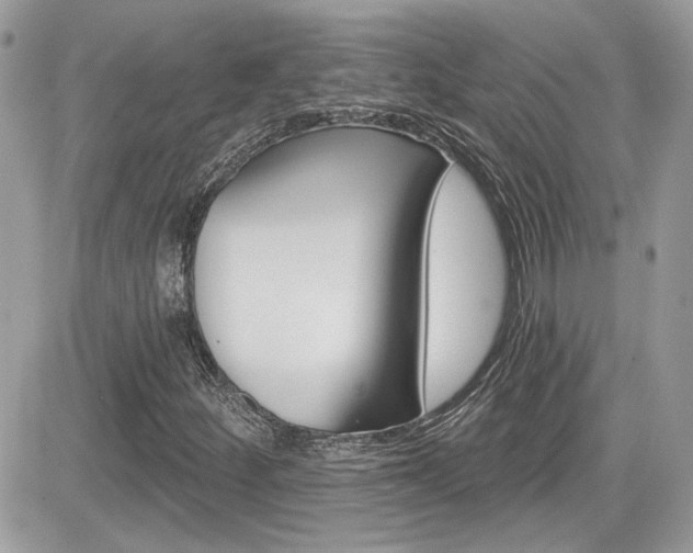 X0000082161252200701190947
