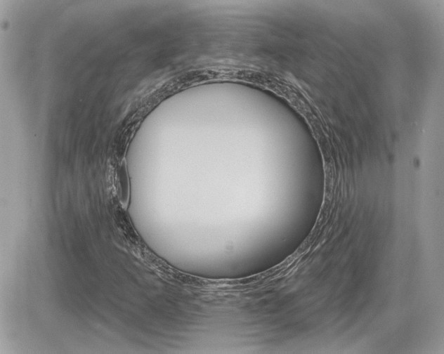 X0000082161253200701190947