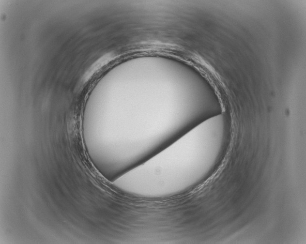 X0000082161259200701190947