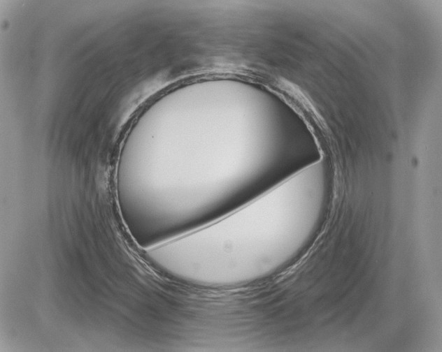 X0000082161260200701190947