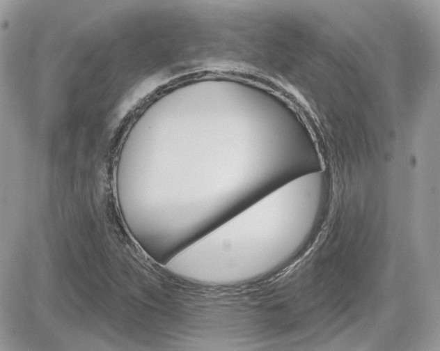 X0000082161263200701190946
