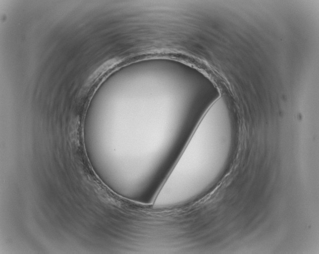 X0000082161265200701190946