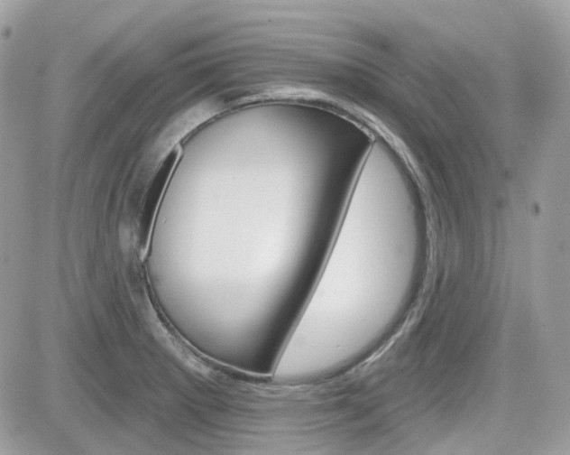 X0000082161281200701190946