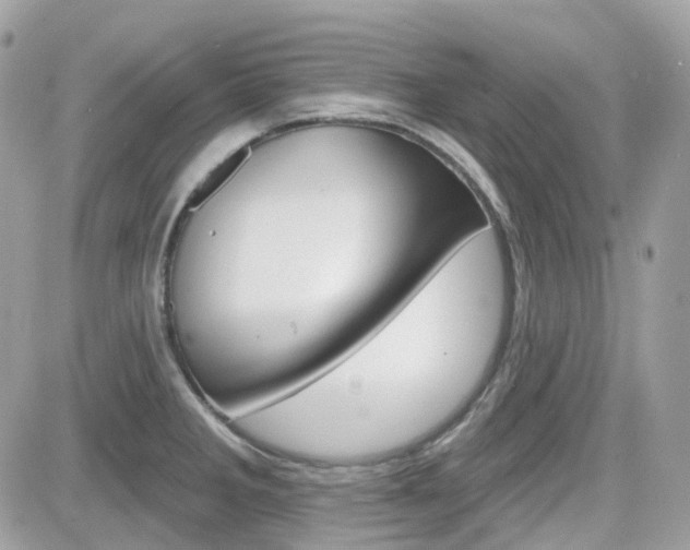 X0000082161285200701190946